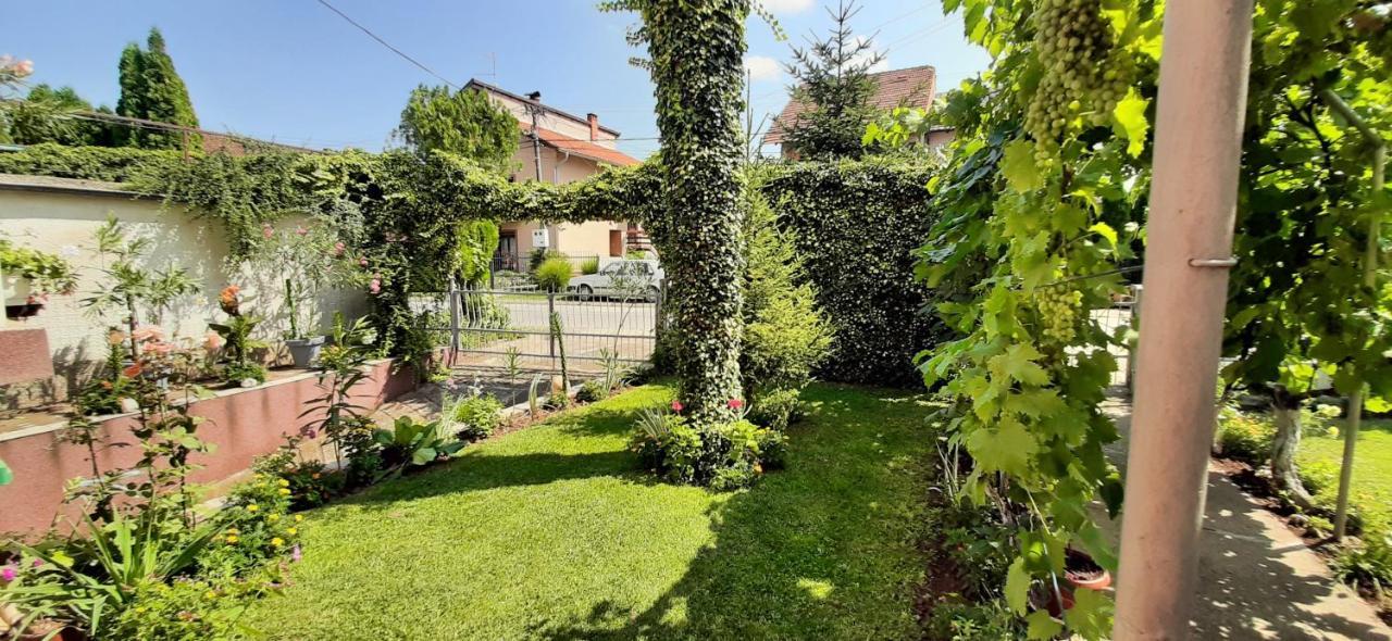 Exclusive Appartement Paraćin Buitenkant foto